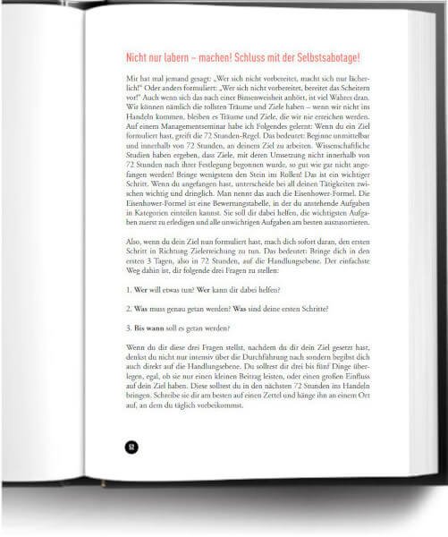 Buch Auszug: Matthias Aumann - Nicht schulklug sondern straßenschlau