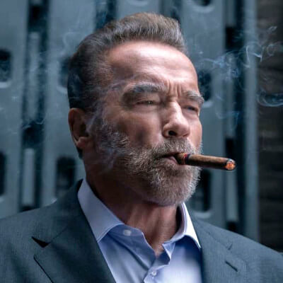 Über: Arnold Schwarzenegger - Entscheidung Erfolg