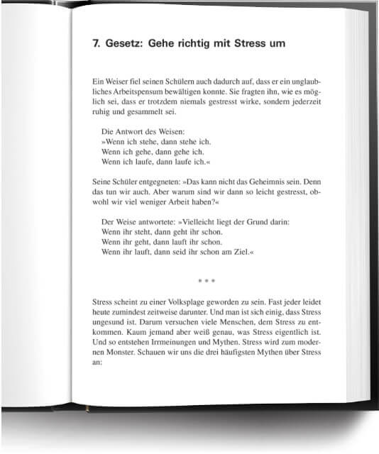Buch Auszug: Seite 08