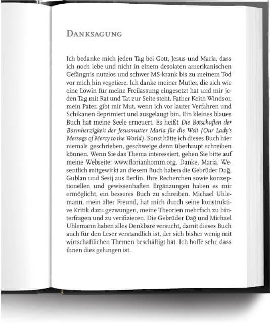 Buch Auszug: Florian Homm - Endspiel