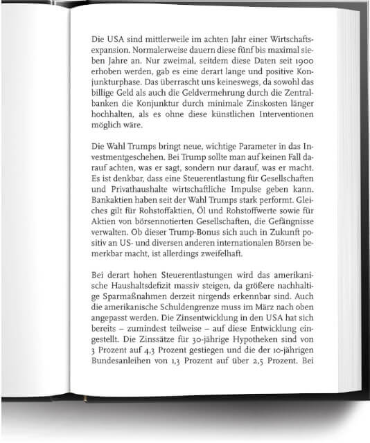 Buch Auszug: Florian Homm - Endspiel
