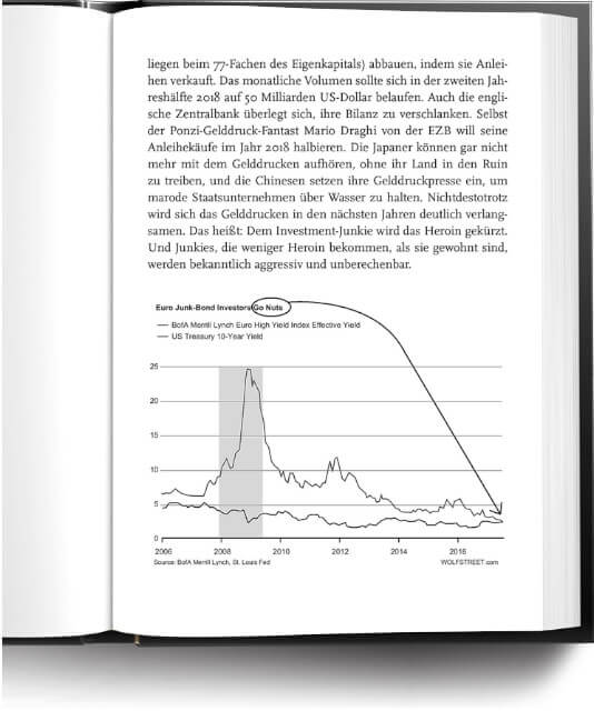 Buch Auszug: Florian Homm - Erfolg im Crash