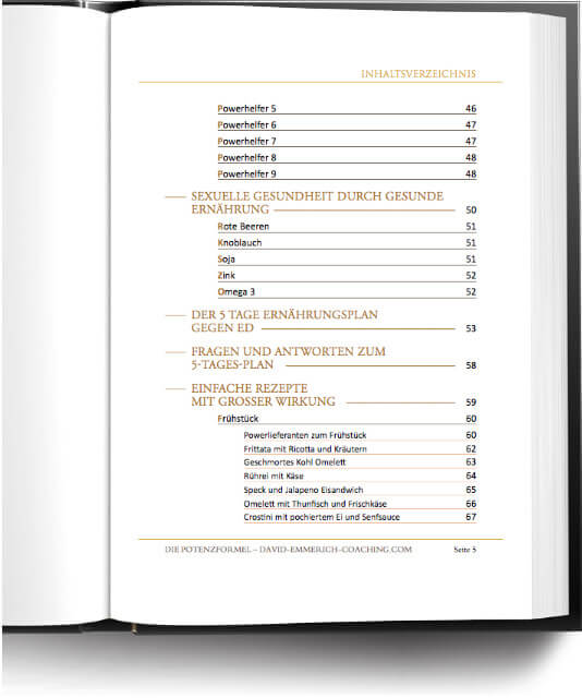 Buch Auszug: Die PotenzFormel 03