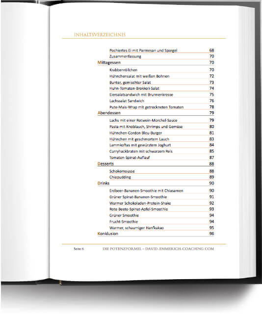 Buch Auszug: Die PotenzFormel 04