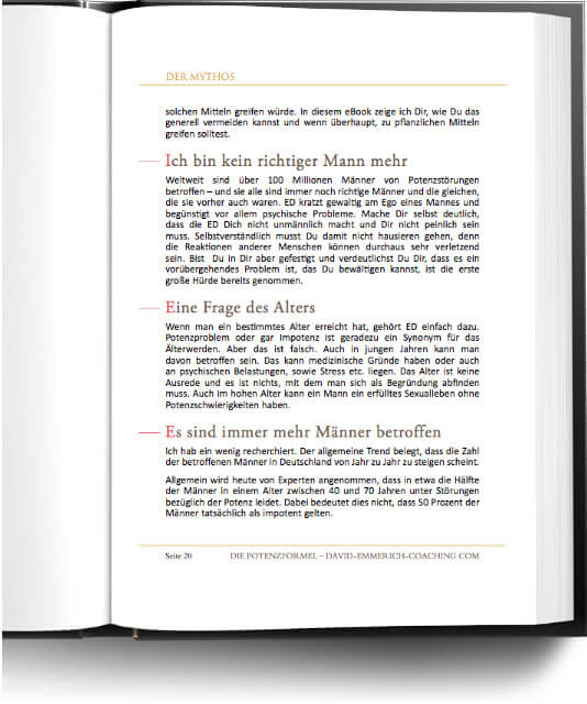 Buch Auszug: Die PotenzFormel 08