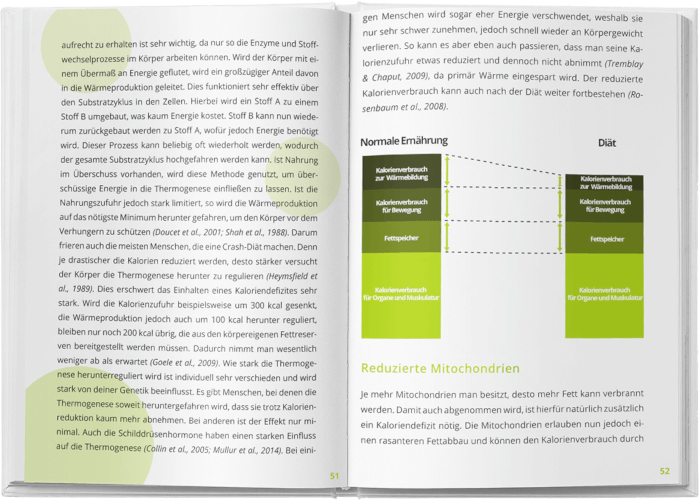 Buch Auszug: Jasper Caven Hungerstoffwechsel