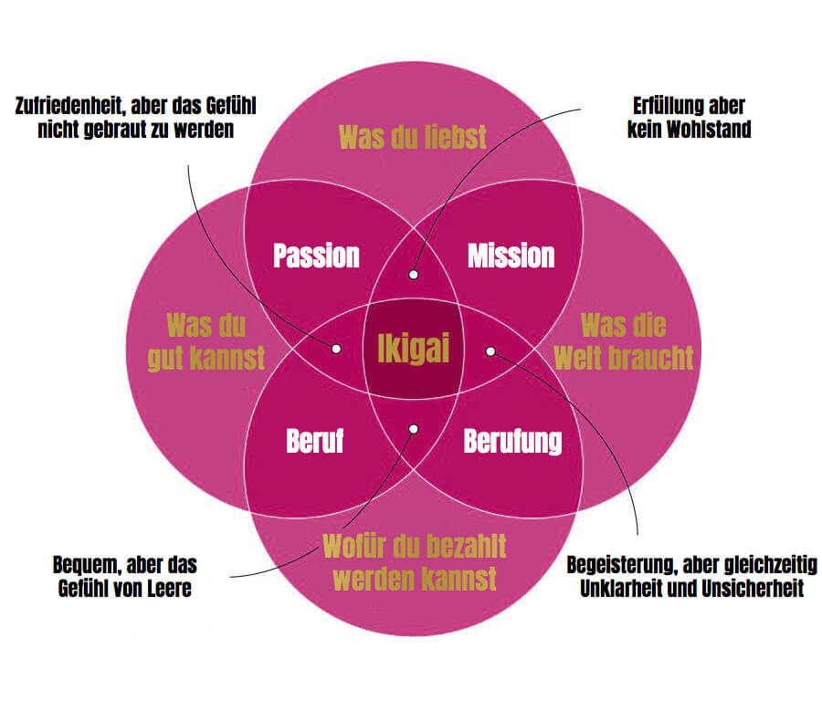 Momentum Erfolg Ikigai Grafik